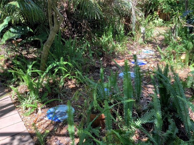 16921 CRAWLEY ROAD, Odessa, FL 33556