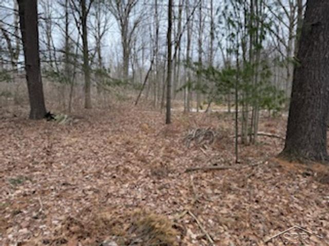 VL N Anna Lane, Sanford, MI 48657