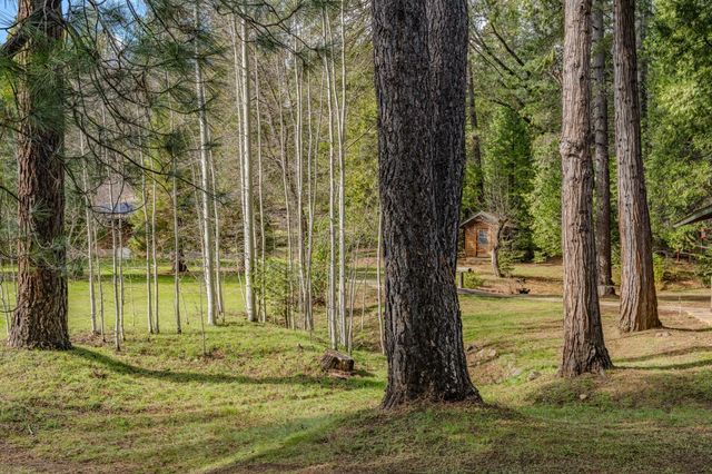 1190 Lili Valley Cir, West Point, CA 95255