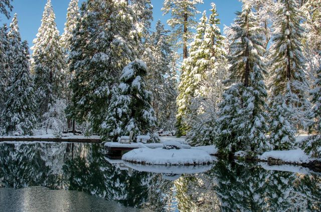 1190 Lili Valley Cir, West Point, CA 95255