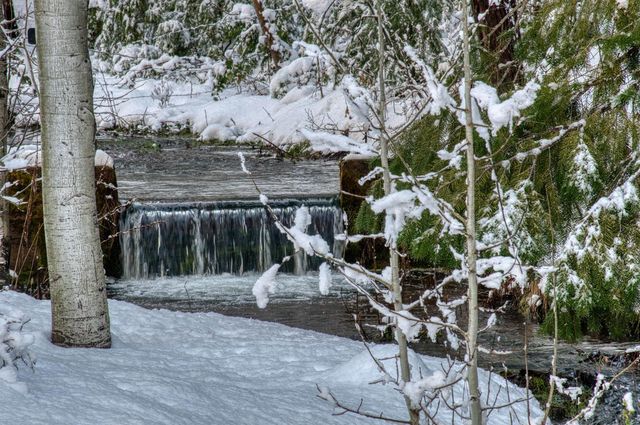 1190 Lili Valley Cir, West Point, CA 95255