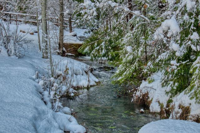 1190 Lili Valley Cir, West Point, CA 95255