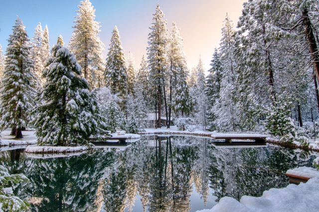 1190 Lili Valley Cir, West Point, CA 95255