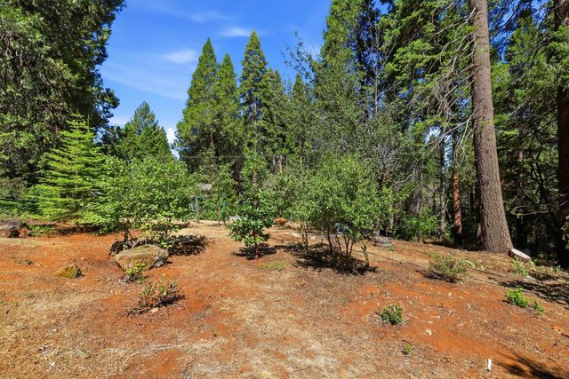 5311 Andrews Ln, Camino, CA 95709