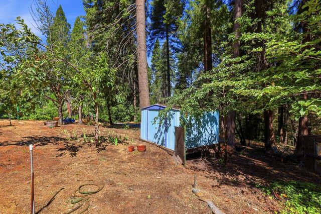 5311 Andrews Ln, Camino, CA 95709