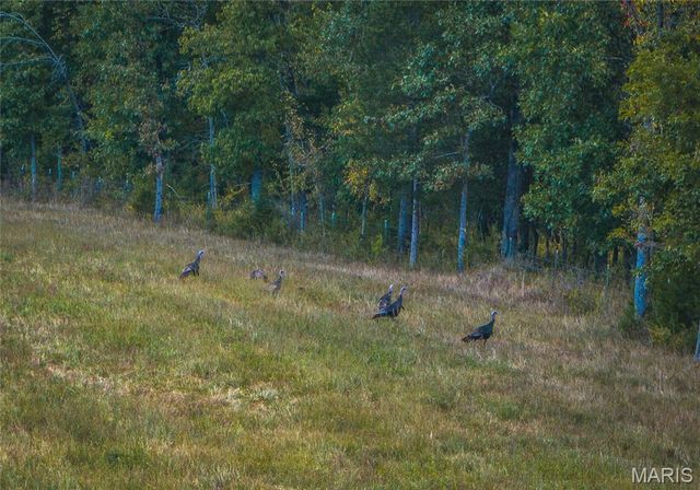 30131 Ranch Lane, Richland, MO 65556
