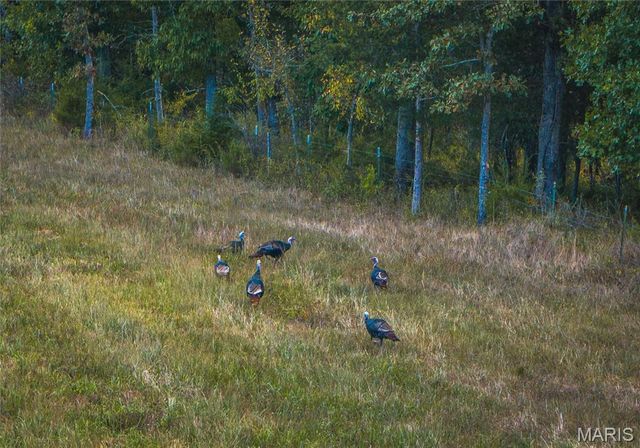 30131 Ranch Lane, Richland, MO 65556