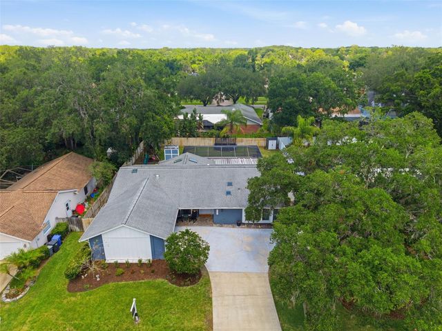 4221 WATER OAKS LANE, Tampa, FL 33618