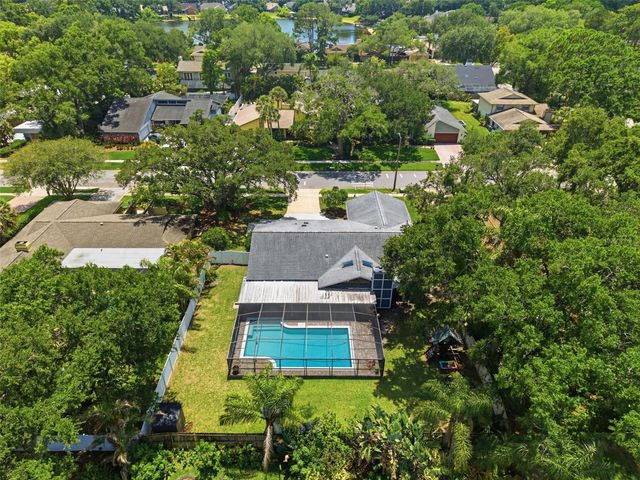 4221 WATER OAKS LANE, Tampa, FL 33618