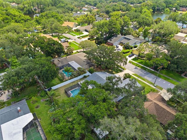 4221 WATER OAKS LANE, Tampa, FL 33618