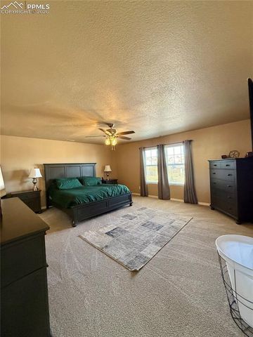 10836 Mcgahan Drive, Fountain, CO 80817