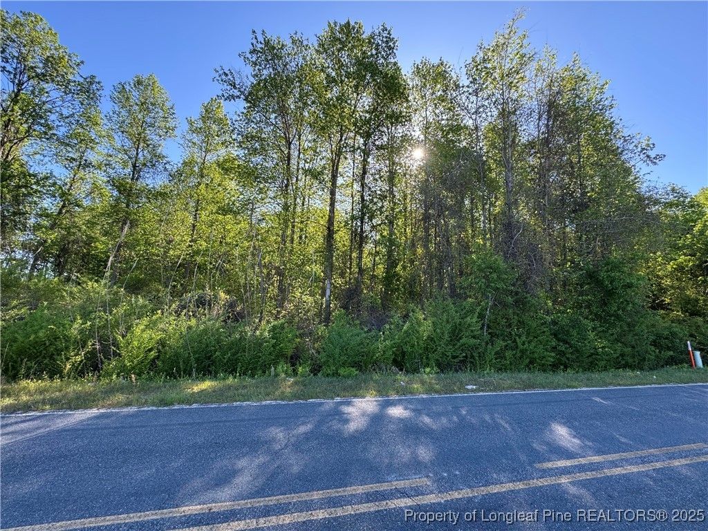 McBryde Mill Road, Red Springs, NC 28377 — exterior
