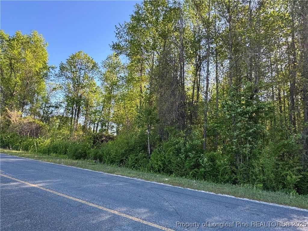 McBryde Mill Road, Red Springs, NC 28377 — photo 2