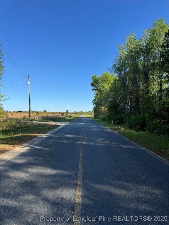 McBryde Mill Road, Red Springs, NC 28377 — photo 4