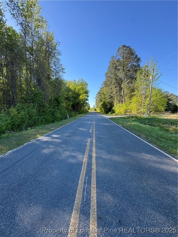 McBryde Mill Road, Red Springs, NC 28377 — photo 5
