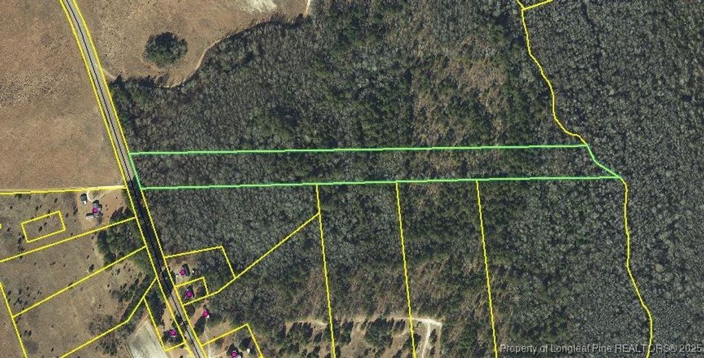 McBryde Mill Road, Red Springs, NC 28377 — photo 6