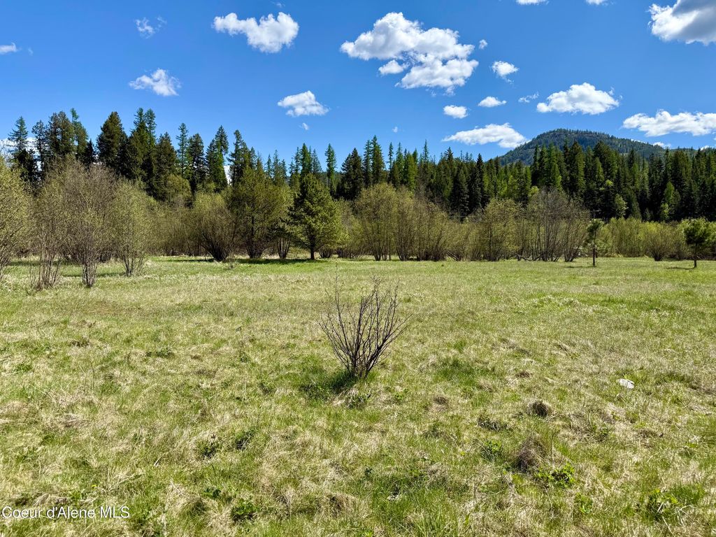 3216 Dufort Rd, Sagle, ID 83860 photo 80