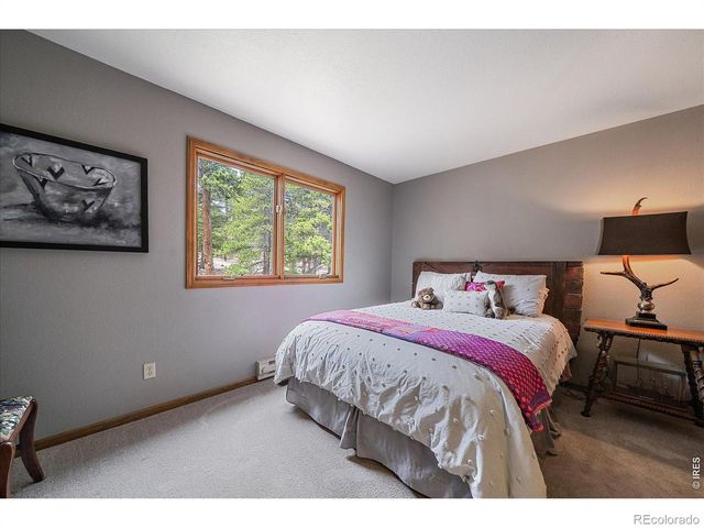 902 Rock Lake Road, Ward, CO 80481