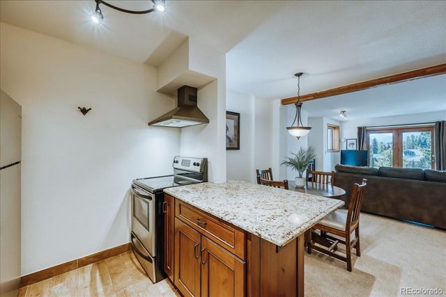875 Four Oclock Road D1, Breckenridge, CO 80424