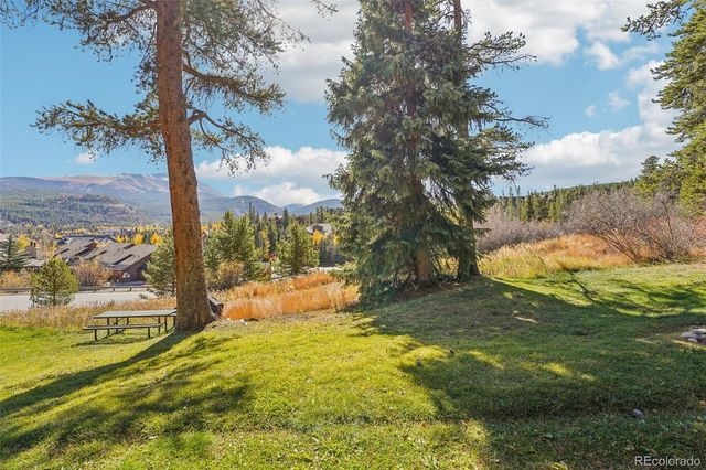 875 Four Oclock Road D1, Breckenridge, CO 80424