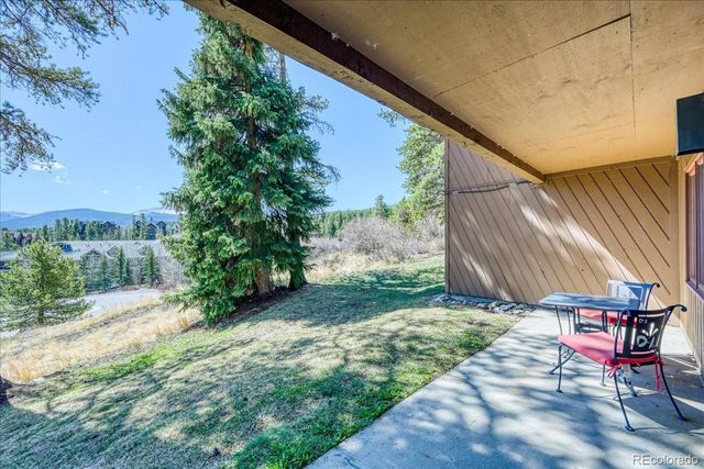 875 Four Oclock Road D1, Breckenridge, CO 80424