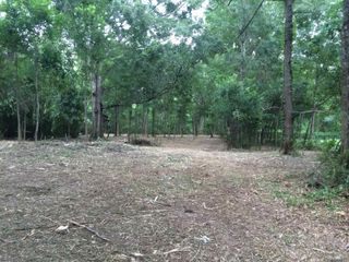 12372 Springfield Rd, Denham Springs, LA 70706