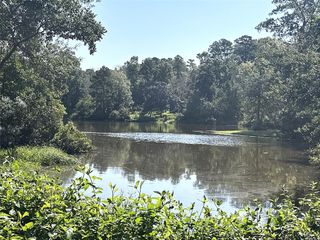 197 Baileys Lane, Livingston, TX 77351