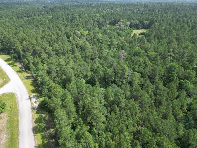 Lot 13 Windmill Road, Huntsville, TX 77340