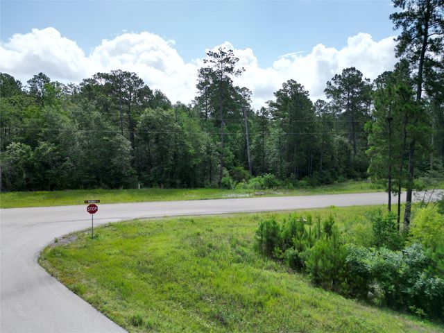 Lot 13 Windmill Road, Huntsville, TX 77340