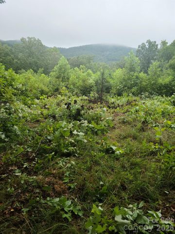 0 Osprey Lane, Nebo, NC 28761