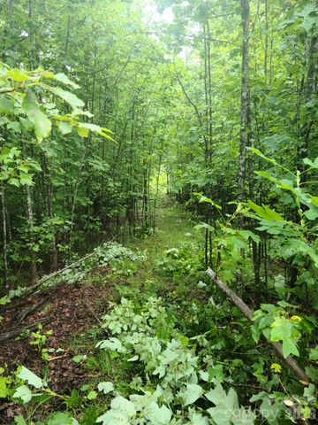 0 Osprey Lane, Nebo, NC 28761