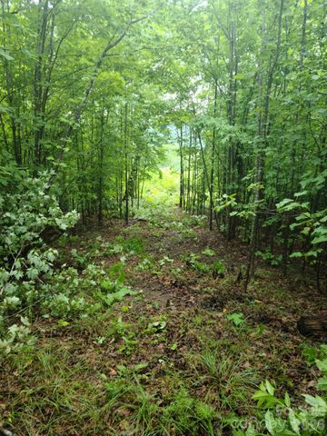 0 Osprey Lane, Nebo, NC 28761