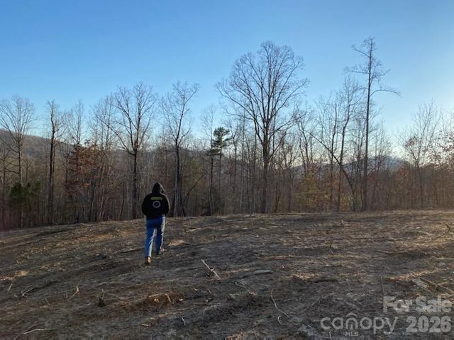 0 Osprey Lane, Nebo, NC 28761