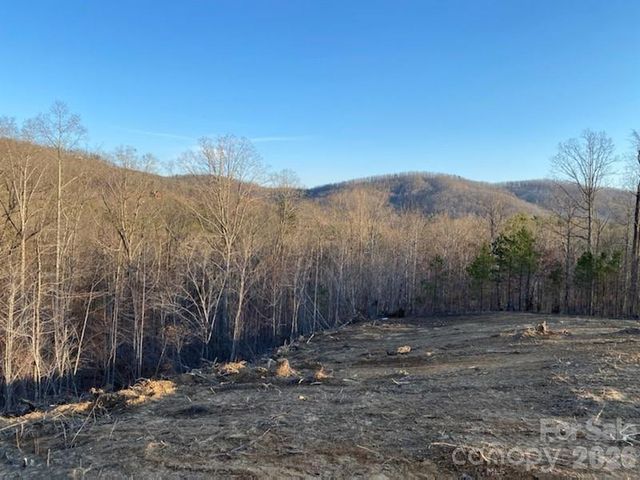 0 Osprey Lane, Nebo, NC 28761