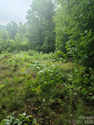 0 Osprey Lane, Nebo, NC 28761