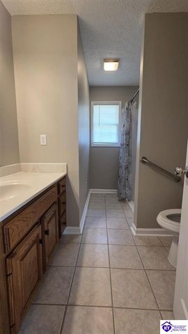475 Meadow View Lane, Cecilia, KY 42724