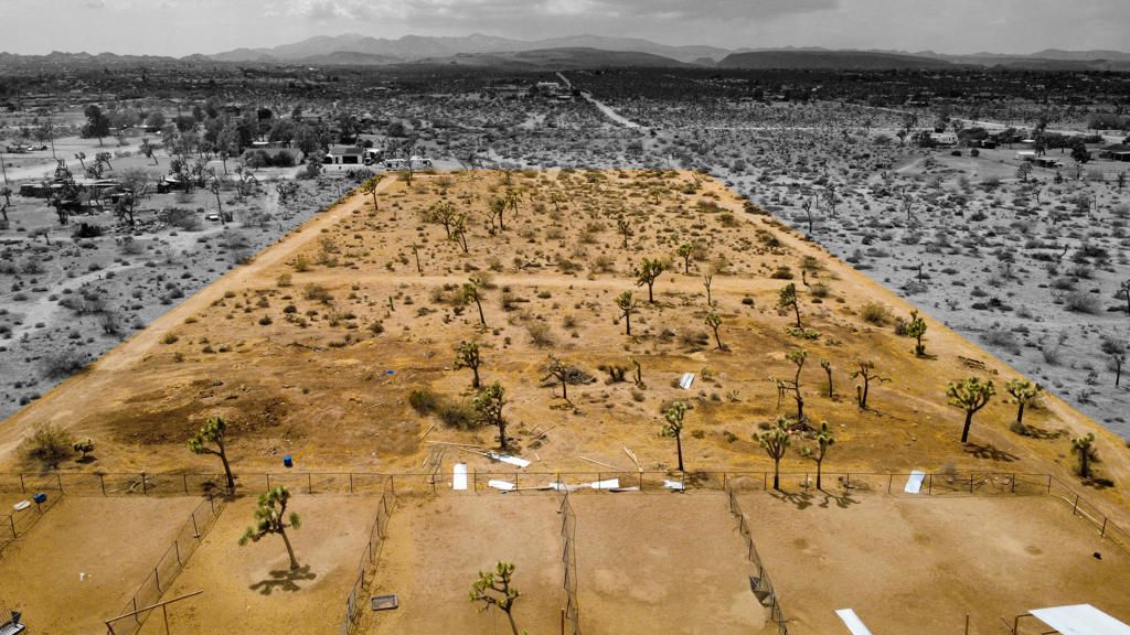 Image 33 of property listing at 4224 Yucca Mesa Road, Yucca Valley, CA 92284