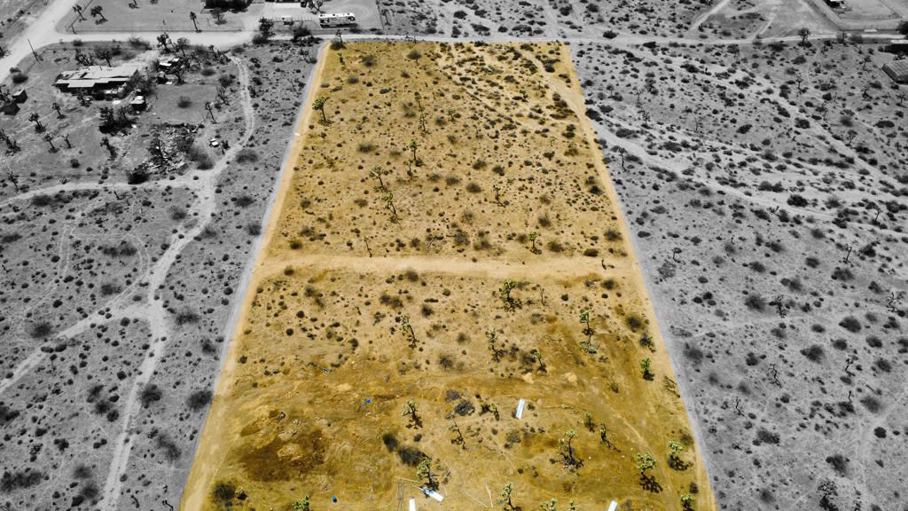 Image 35 of property listing at 4224 Yucca Mesa Road, Yucca Valley, CA 92284