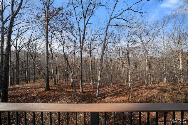 17670 Lasiandra Drive, Wildwood, MO 63005