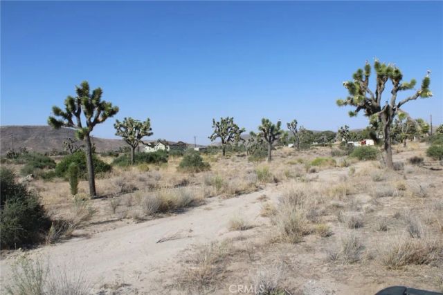 0 Minna Gombell Ln., Pioneertown, CA 92668