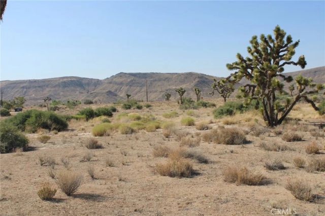 0 Minna Gombell Ln., Pioneertown, CA 92668