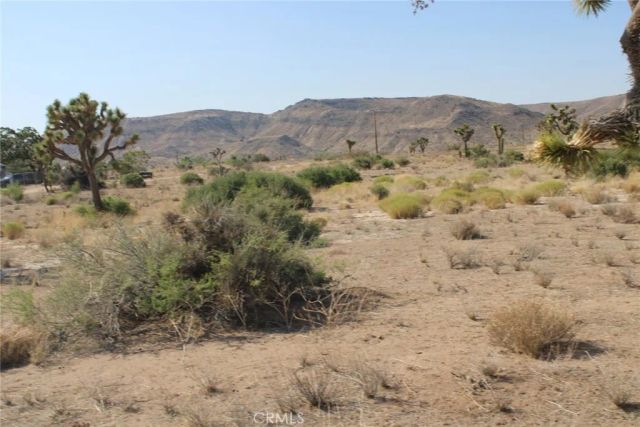 0 Minna Gombell Ln., Pioneertown, CA 92668