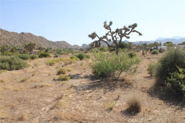 0 Minna Gombell Ln., Pioneertown, CA 92668