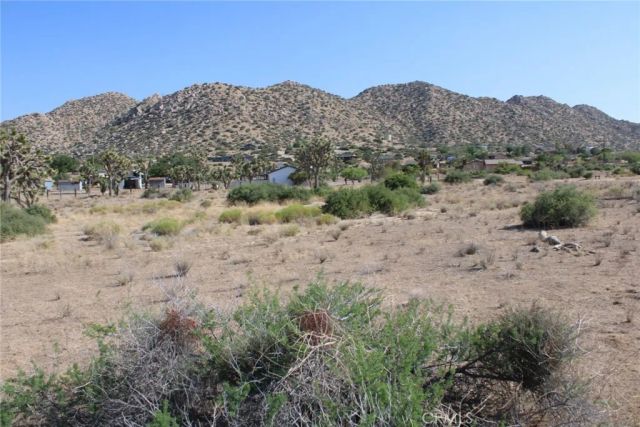 0 Minna Gombell Ln., Pioneertown, CA 92668