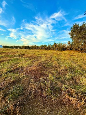 2902 SE PIGGYBACK ROAD, Arcadia, FL 34266