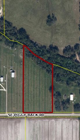 2902 SE PIGGYBACK ROAD, Arcadia, FL 34266