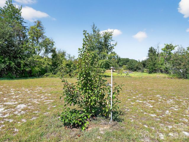 1035 Mcmillan Road, Cheraw, SC 29520