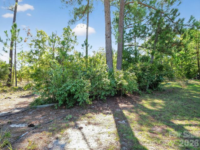 1035 Mcmillan Road, Cheraw, SC 29520