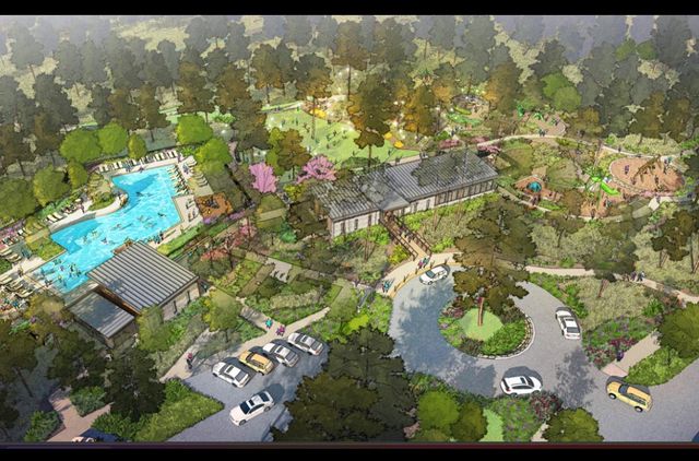 26707 Texas Lantana Lane, Montgomery, TX 77316