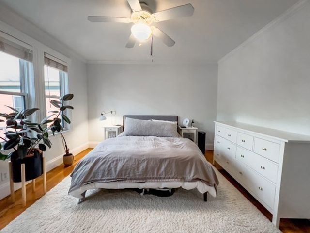 23 Goldsmith St 3, Boston, MA 02130